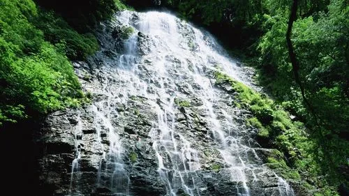 高标准高性能独特